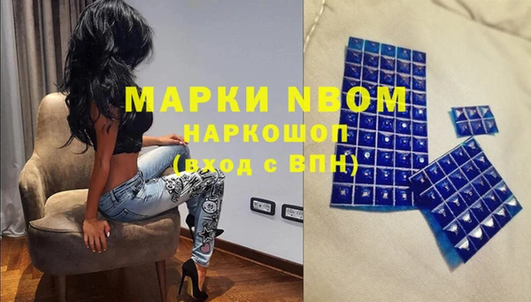 СК Протвино